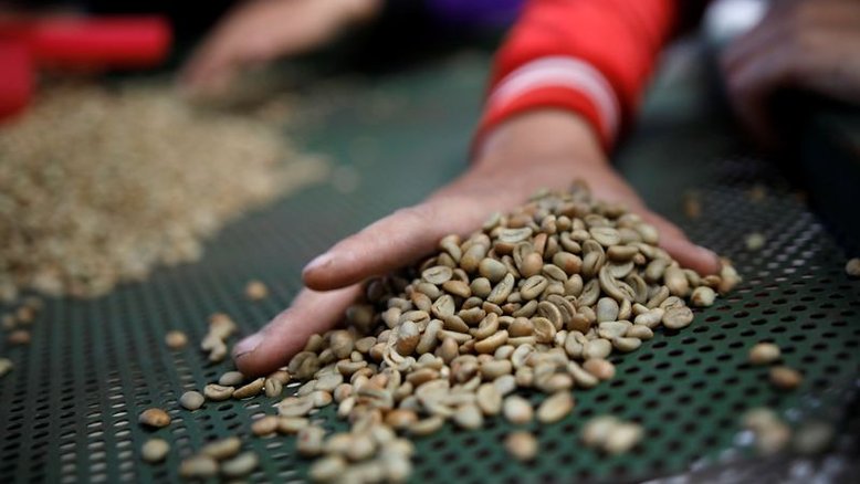 Estoques de café verde sobem nos EUA pela 1ª vez desde agosto