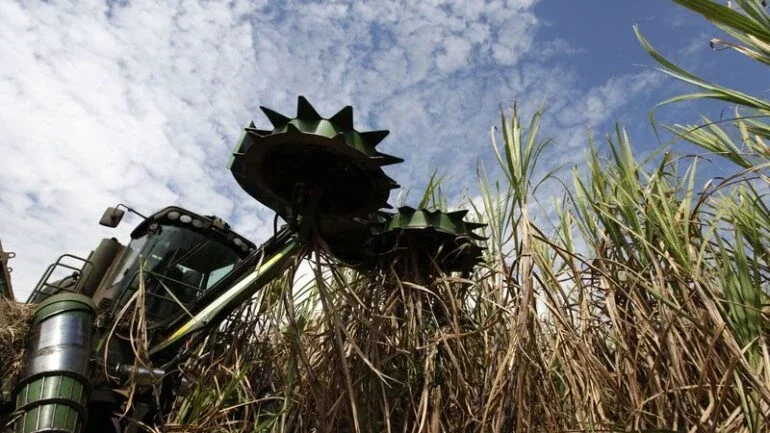 CMNP compra Usina do Vale do Paraná e eleva capacidade de moagem de cana a 7 mi t