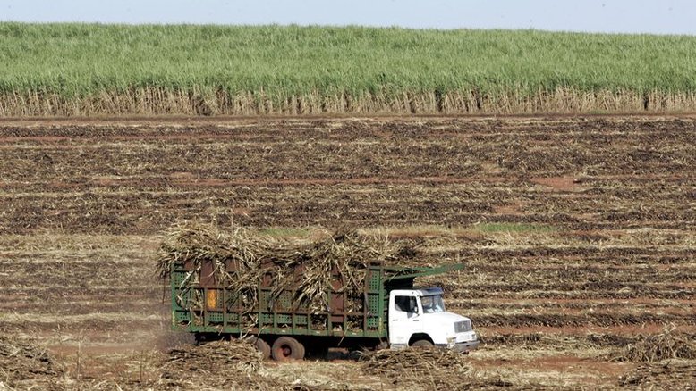 StoneX vê superávit global de 4,1 mi t de açúcar em 2022/23, o maior em cinco anos