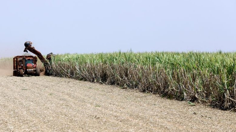 Raízen investirá R$2 bi em duas novas plantas de etanol 2G