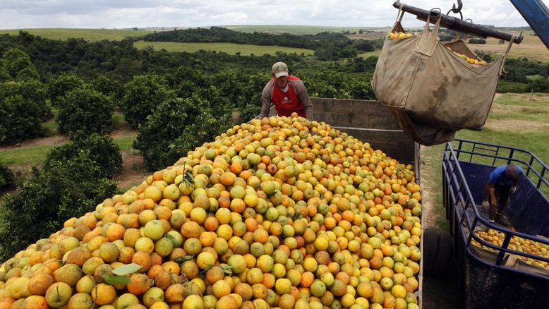 Exportação de suco de laranja do Brasil cai 5,2% no acumulado da safra com menor oferta