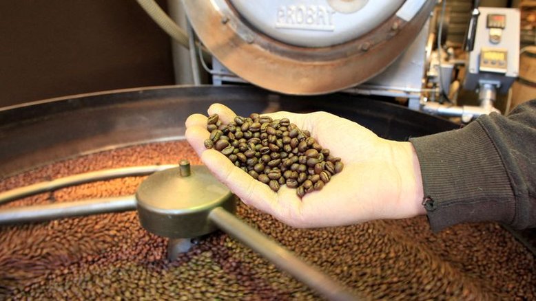 Demanda global por café salta no 1º tri apesar de guerra, diz Rabobank