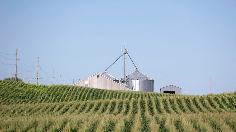 Plantio de milho dos EUA atinge 72% da área, diz USDA; avaliações de trigo melhoram