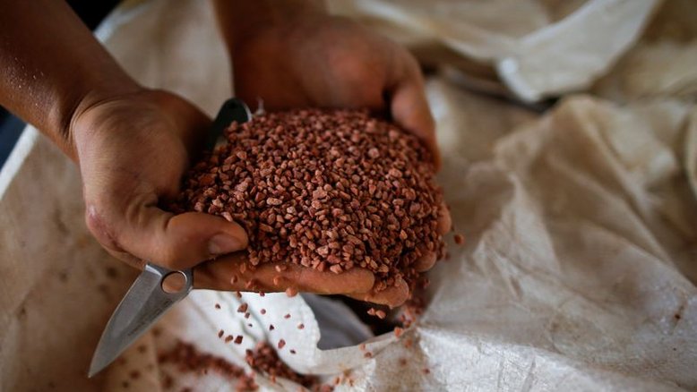 Autoridade da ONU visitará Moscou em dias para tratar sobre fertilizantes