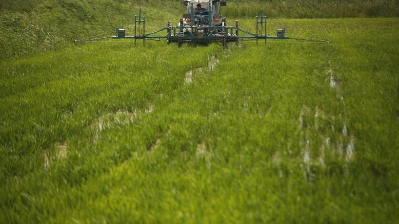 Queda na tarifa de importação de arroz desestimula produtor no Brasil, diz setor
