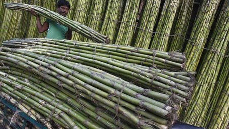 Produção de açúcar da Índia aumenta 3,7% de outubro a dezembro
