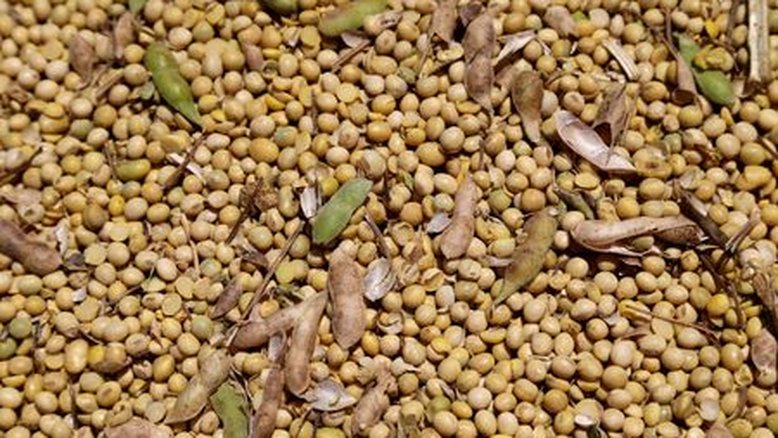 Brasileira BSBIOS adquire fábrica de biodiesel e esmagadora de soja no Paraguai