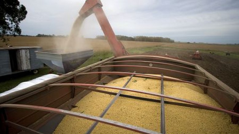 Milho e soja sobem após cortes do USDA em estimativas sobre colheita de 2022 nos EUA