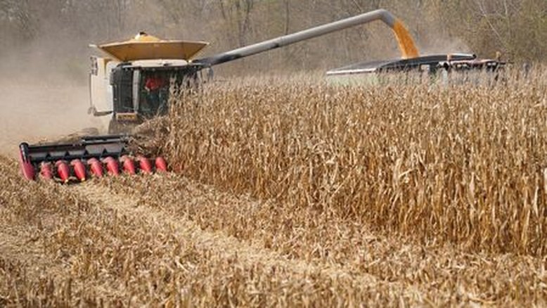 Soja e milho caem em Chicago com previsões de chuvas necessárias na Argentina