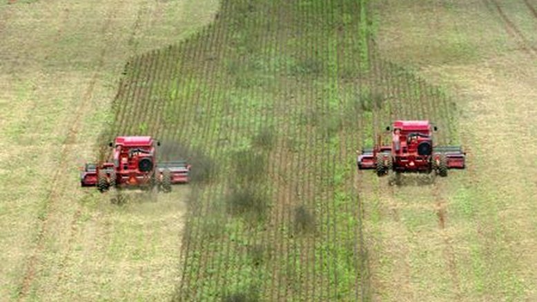 Agronegócio do Brasil tem espaço para ampliar hedge, diz CEO da XP