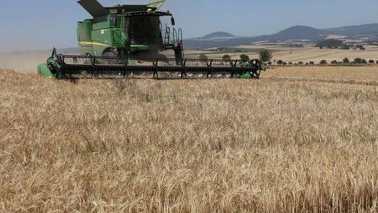 Strategie Grains eleva novamente previsão de safra de trigo da UE