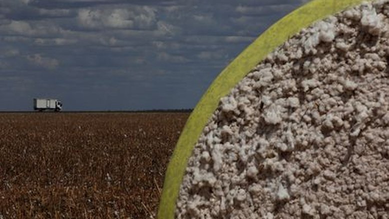 Inadimplência do agricultor do Brasil vai a 27%, diz Serasa, que aposta em "Agro Score"