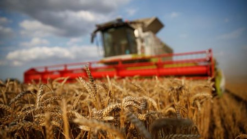 Valor Bruto da Produção Agropecuária deve crescer 6,3% neste ano para R$ 1,265 tri