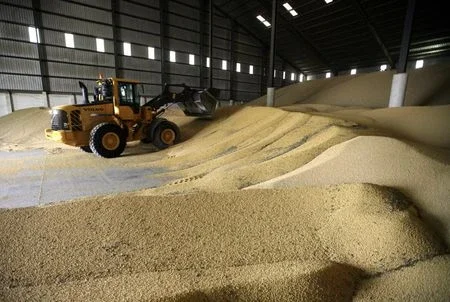 Farelo de soja tem maior nível desde 2014 com compras especulativas e clima na Argentina