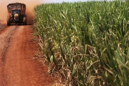 Preços do açúcar bruto devem cair 12% em 2023 com aumento da produção, aponta pesquisa