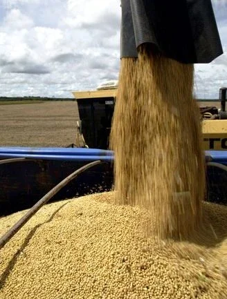 Anec ajusta para baixo exportação de soja e milho do Brasil em fevereiro