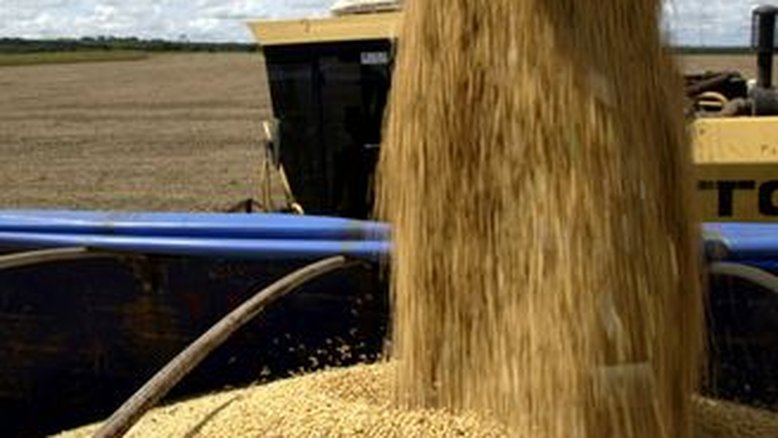 Anec ajusta para baixo exportação de soja e milho do Brasil em fevereiro