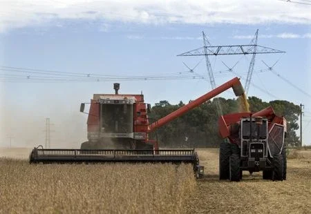 Colheita de soja atinge 17% da área no PR; atraso deixa plantio de milho 2ª safra em risco