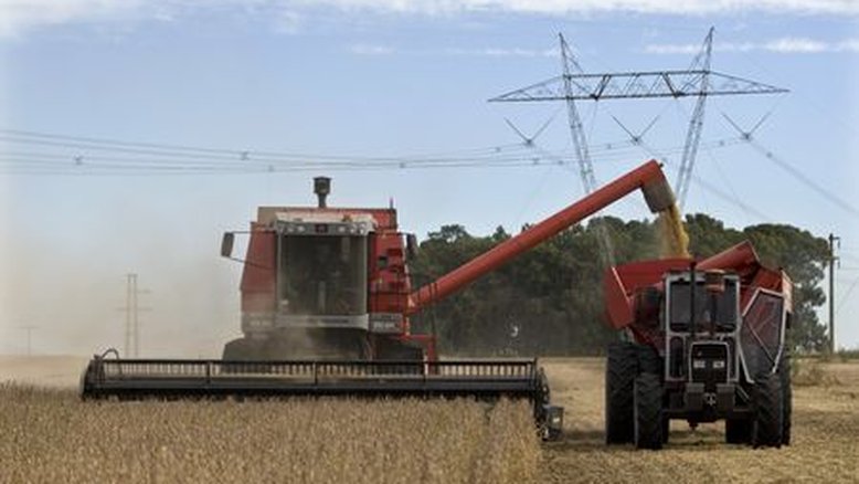 Colheita de soja atinge 17% da área no PR; atraso deixa plantio de milho 2ª safra em risco
