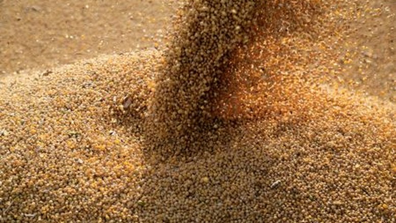 Prêmio do farelo de soja do Brasil supera expectativa após quebra na Argentina, diz Caramuru