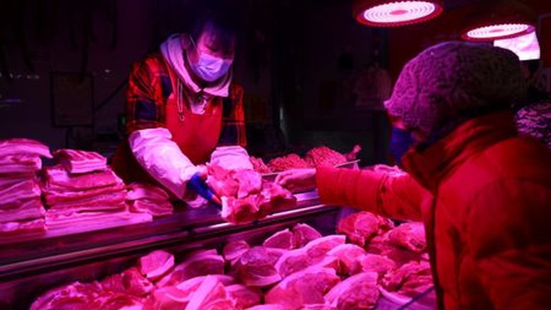 Exportação de carne suína do Brasil cresceu 10% em fevereiro, diz ABPA