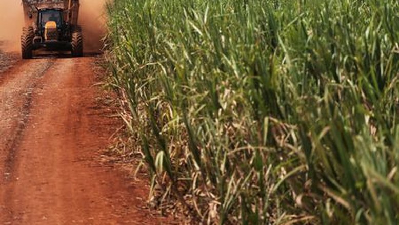 Exportação de açúcar do Brasil não aumentará no ritmo de produção, dizem especialistas