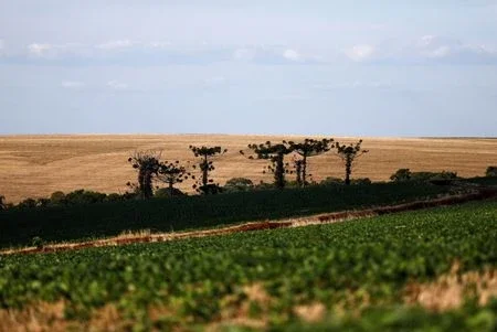 Lavoro faz acordo para adquirir controle de distribuidora de insumos agrícolas no RS