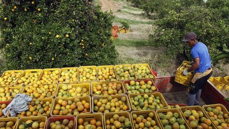 Gigantes do suco de laranja viram réus em ação na Justiça que cobra R$12,7 bi por cartel