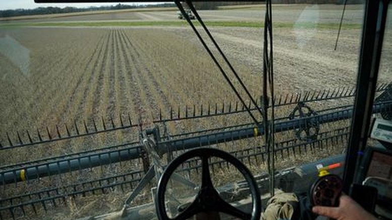 Colheita de soja 22/23 atinge 18% da área no RS, diz Emater; milho alcança 79%
