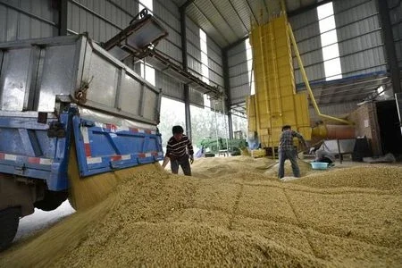 Importações de soja pela China aumentam 8% em março apesar de demanda moderada