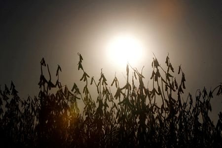 tagreuters.com2023binary_LYNXMPEJ3C0XN-VIEWIMAGE