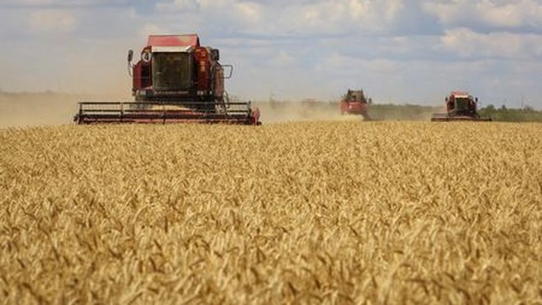 Safra de grãos russa deve chegar a 123 mi t em 2023, diz ministro da Agricultura