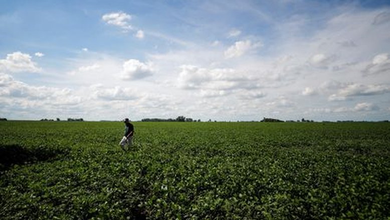 Syngenta anuncia conta digital para agricultores brasileiros; Bunge trabalha em fintech