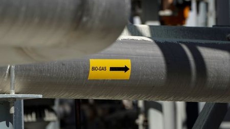 Cogeração de energia alcança 20,5 GW no Brasil, com crescimento de 4% em 12 meses