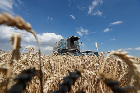 EXCLUSIVO-Ucrânia espera queda das exportações de trigo e milho 2023/24