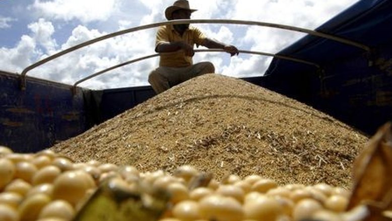 BofA corta SLC Agrícola a "underperform"; ação cai mais de 6%