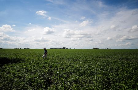 Já com 27% do PIB do agro, setor de soja e biodiesel devem aumentar fatia em 2023