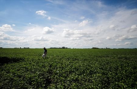 Já com 27% do PIB do agro, setor de soja e biodiesel devem aumentar fatia em 2023