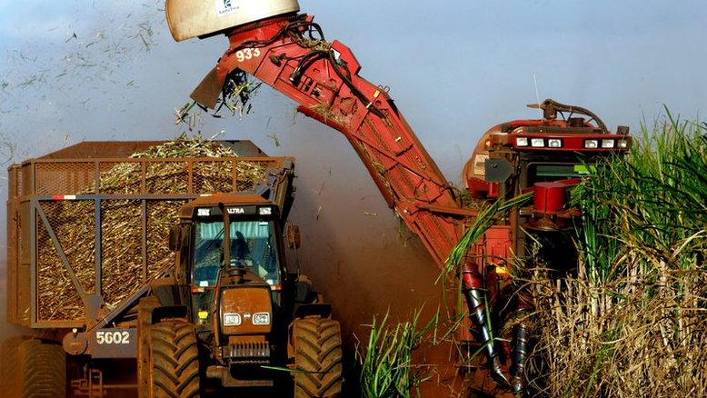 StoneX prevê queda de até 6,3% para moagem de cana no centro-sul em 2021/22