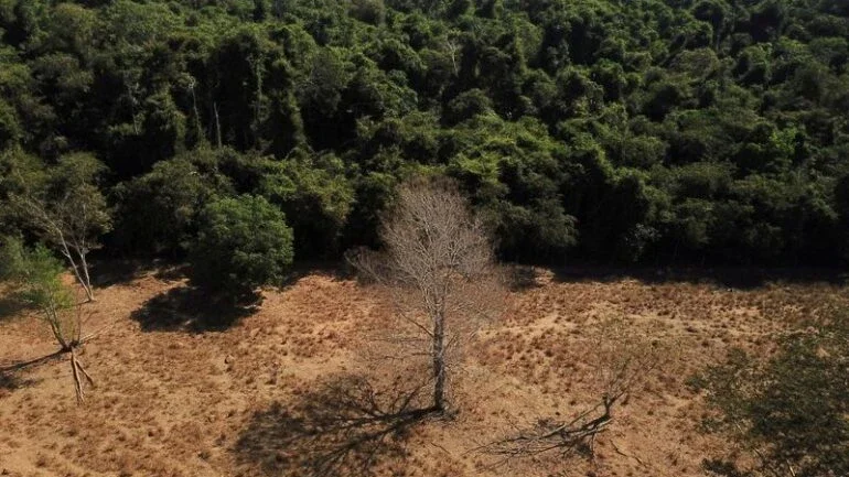 Fundador da Natura defende que Brasil seja mais ambicioso em questões climáticas