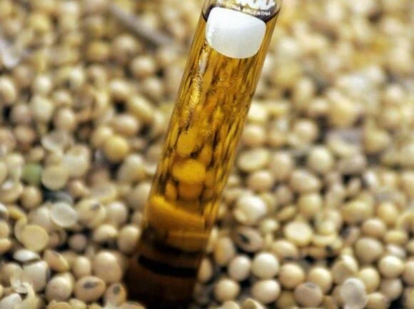 Brasil fixa mistura de biodiesel a 10% em 2022; setor vê destruição de programa
