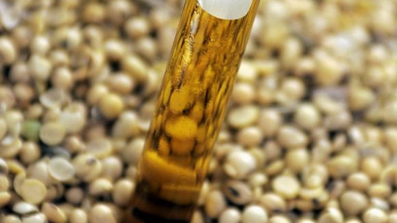 Brasil fixa mistura de biodiesel a 10% em 2022; setor vê destruição de programa