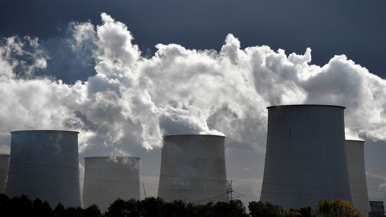 Carbono entre US$12 e US$13 pode apoiar regeneração florestal, diz presidente da Suzano