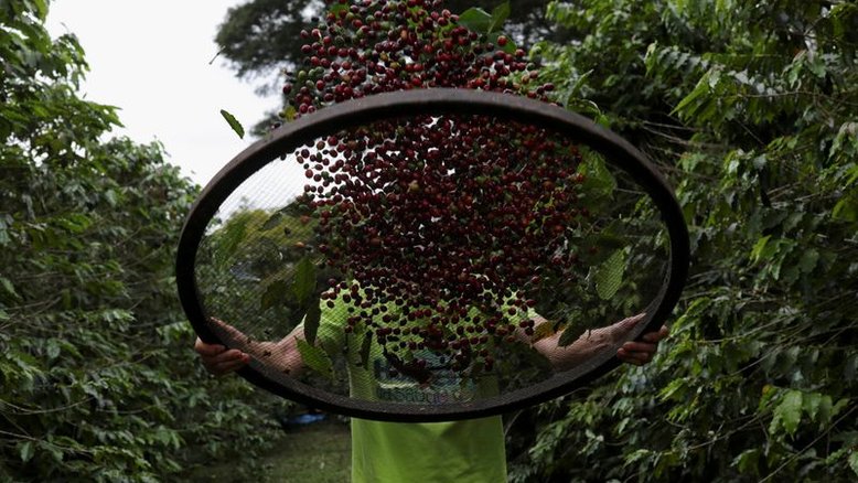Commodities pesam e IGP-DI passa a subir 3,40% em maio, diz FGV
