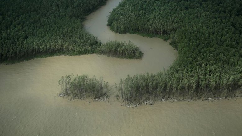 Costa do Amapá