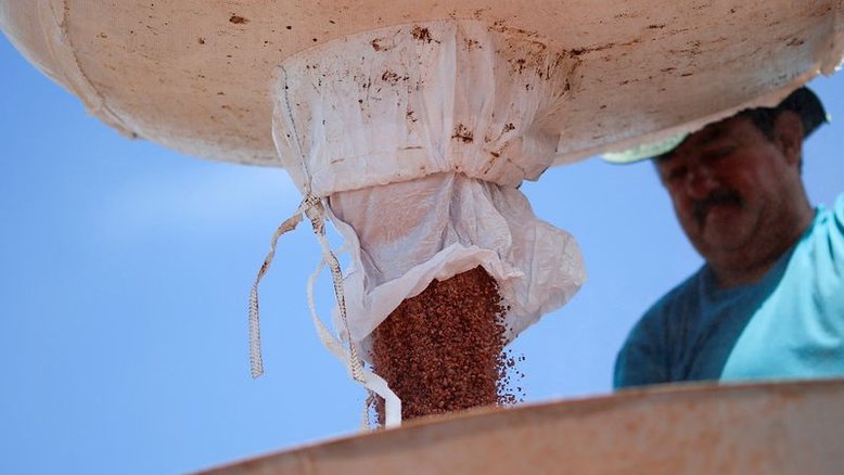 Soja turbina receita da Rumo no 1º tri, mas juro e combustíveis ditam prejuízo