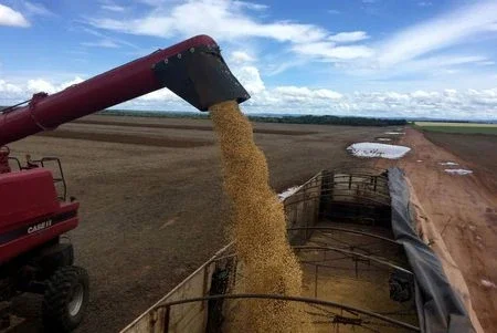 IGP-M recua 0,06% em fevereiro com novo alívio de commodities, diz FGV