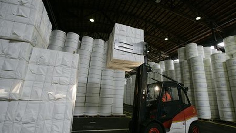 CMPC desenvolve híbrido de árvore Corymbia para produção de celulose