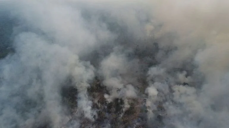 PF deflagra operação contra incêndio, desmatamento ilegal e usurpação de terras da União no Amazonas