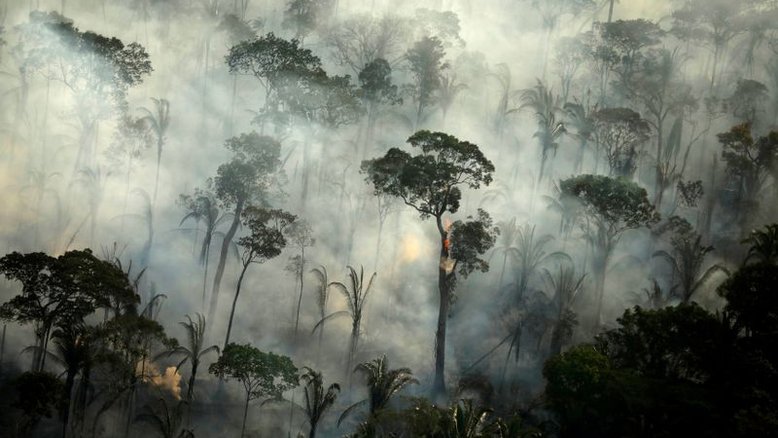 Coca-Cola adere a programa Adote um Parque na Amazônia